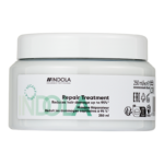INDOLA CARE REPAIR TREATMENT MASK 250 ML