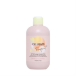 INEBRYA ICE CREAM FREQUENT REFRESHING SHAMPOO MENTA  300 ML