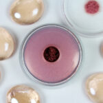 Kryolan Satin Powder 3gr